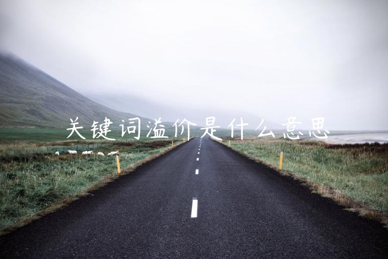 關(guān)鍵詞溢價是什么意思